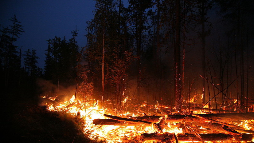 Пастух в Забайкалье сжёг 600 га леса, пытаясь разогреть еду на костре