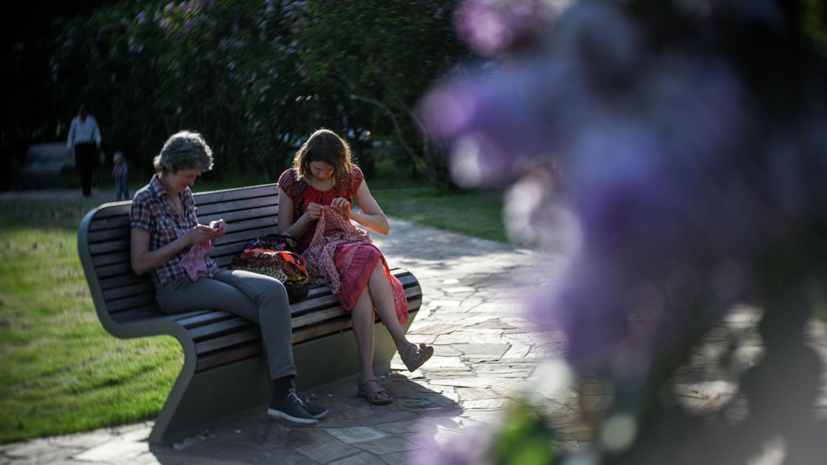 Власти Подмосковья рассказали о планах по благоустройству парков