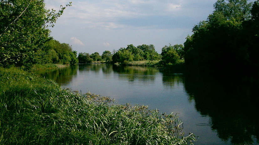 Два украинских города оставят без воды из-за загрязнения реки