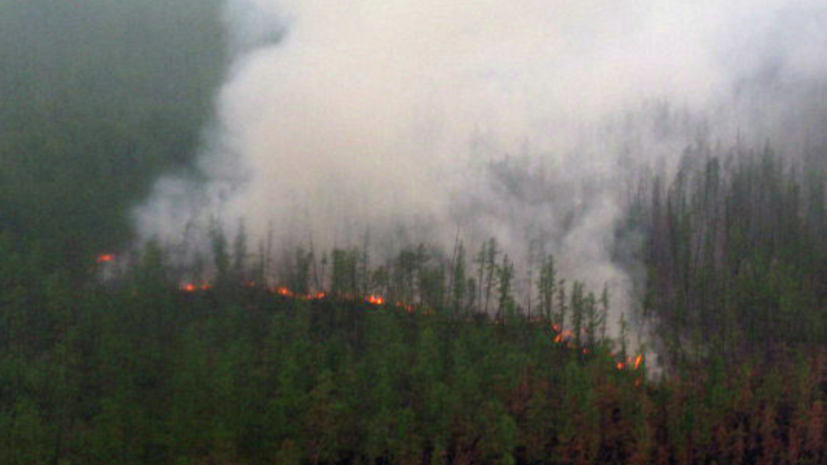 В Якутии заявили об уничтожении огнём более 80 тысяч гектаров леса