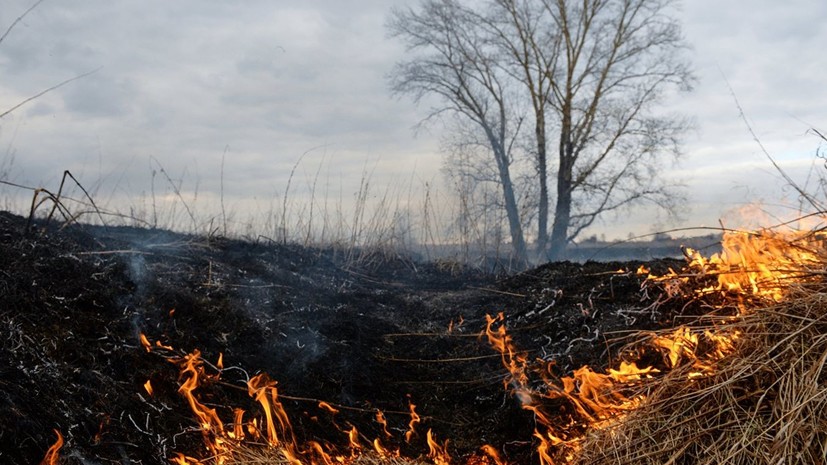 В России предложили изымать землю за нарушение пожарной безопасности