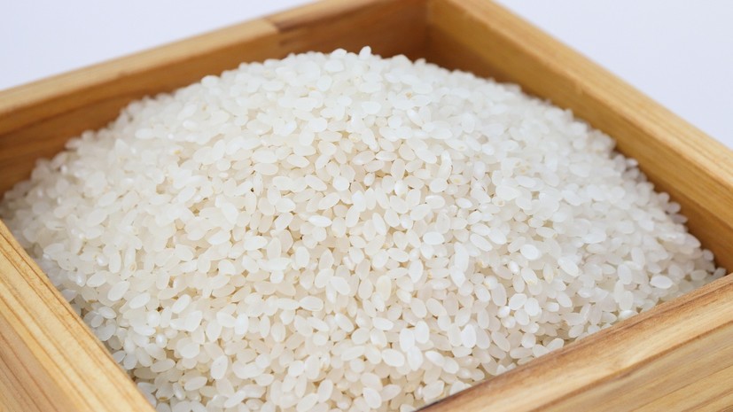 Южная Корея отправит в КНДР 50 тысяч тонн риса