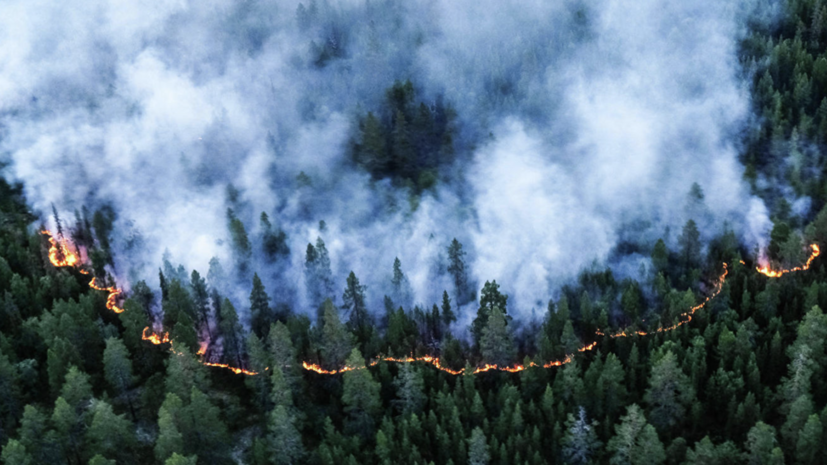В «Авиалесоохране» назвали общую площадь лесных пожаров в России