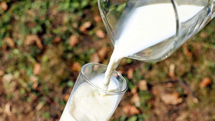 В Минздраве оценили данные о норме потребления молочных продуктов
