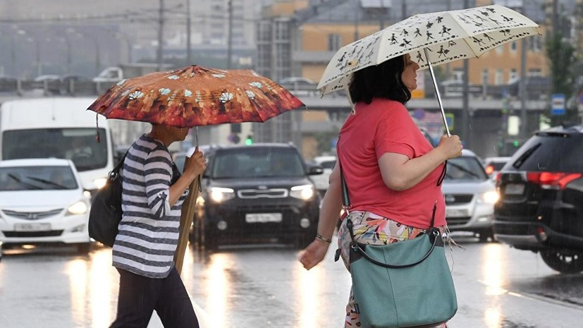 МЧС предупредило о дожде с грозой и порывистым ветром в Москве 