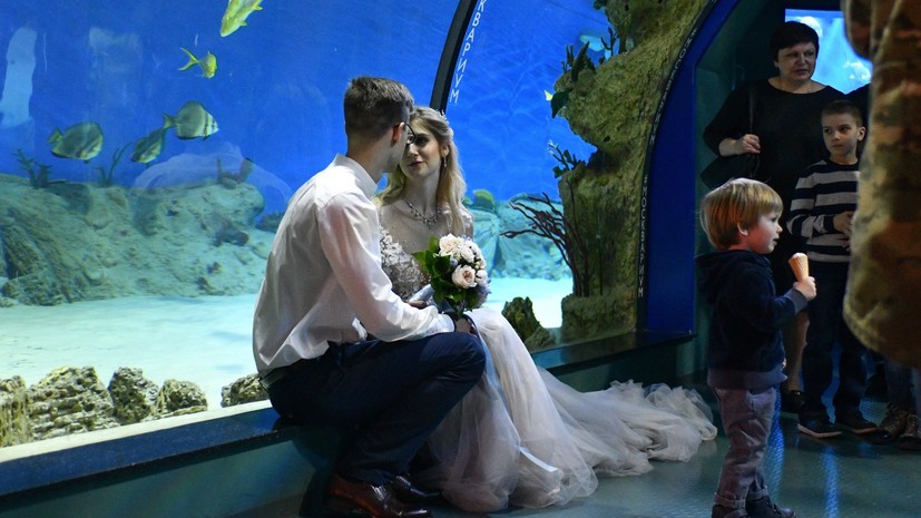 На новых площадках для регистрации брака в Москве поженились более тысячи пар