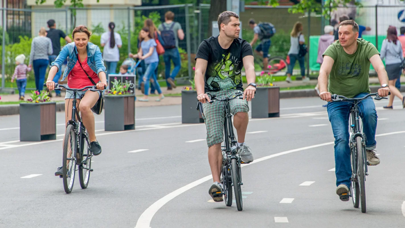 В московских парках проложили более 90 км велодорожек