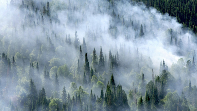 В Красноярском крае пожары охватили почти 700 тысяч гектаров лесов