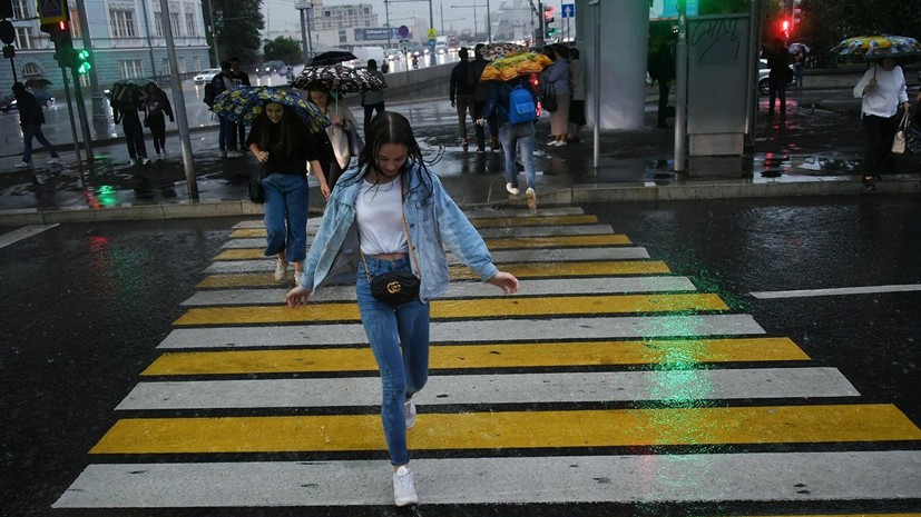 В МЧС предупредили о грозе с дождём и порывистом ветре в Москве