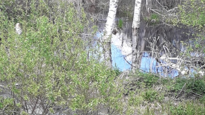 В Тюменской области возбудили дело из-за загрязнения реки