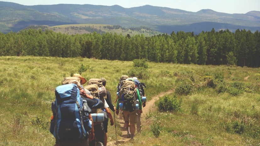 В МЧС дали рекомендации для безопасного похода в лес