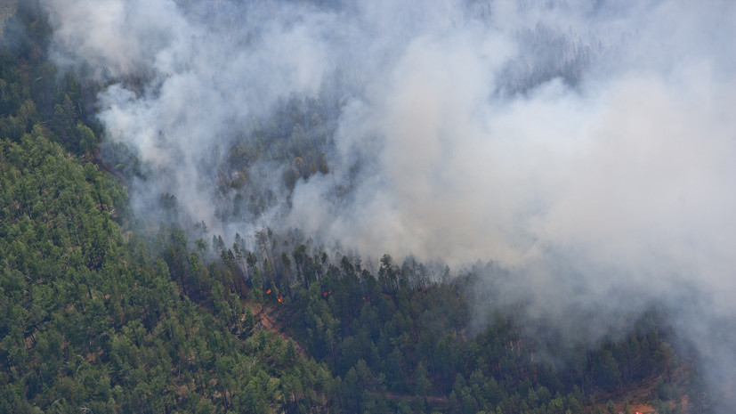 В Авиалесоохране назвали общую площадь лесных пожаров в России
