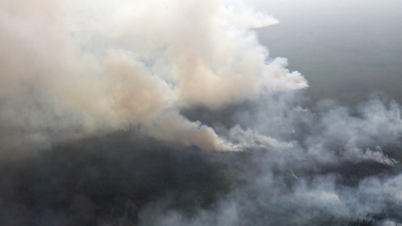 Площадь лесных пожаров в Сибири превысила 1,6 млн га