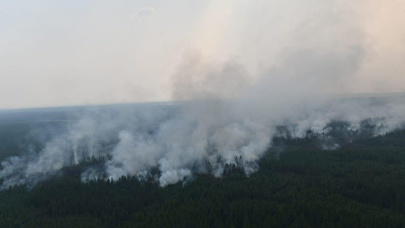 Почти 3 млн гектаров: в пяти регионах России ввели режим ЧС из-за лесных пожаров