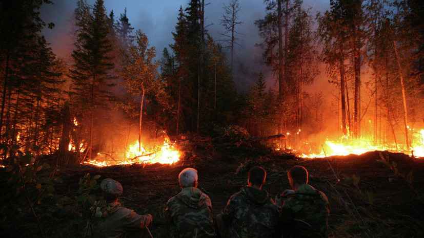 Медведев потребовал тушить пожары в Сибири «не из окон министерств»