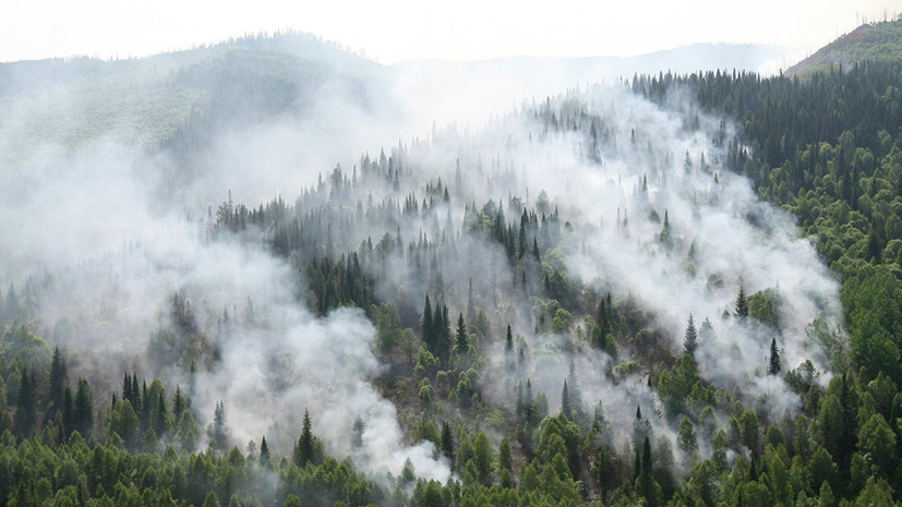 В Госдуме прокомментировали решение Минобороны создать штаб по тушению пожаров в Красноярском крае