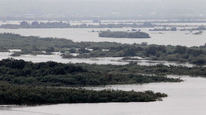 Левобережье реки Амур во время паводка. Архивное фото
