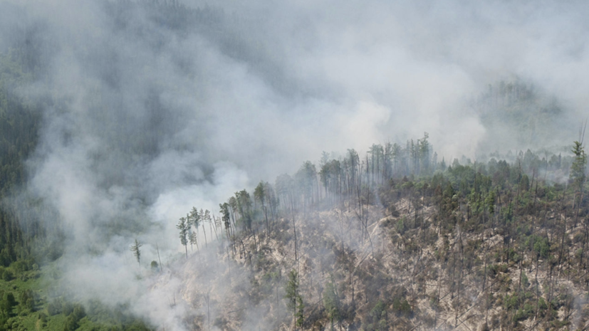 В МЧС рассказали об экологических последствиях лесных пожаров в Сибири