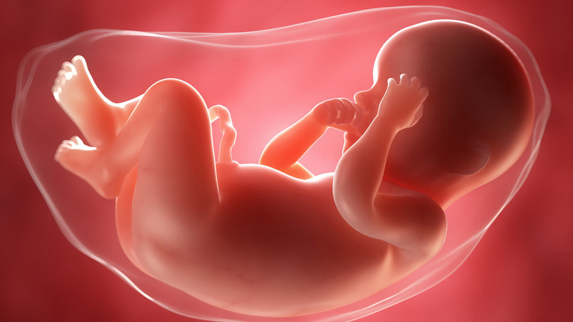 Гормон счастья: исследователи изучили влияние серотонина на развитие эмбриона