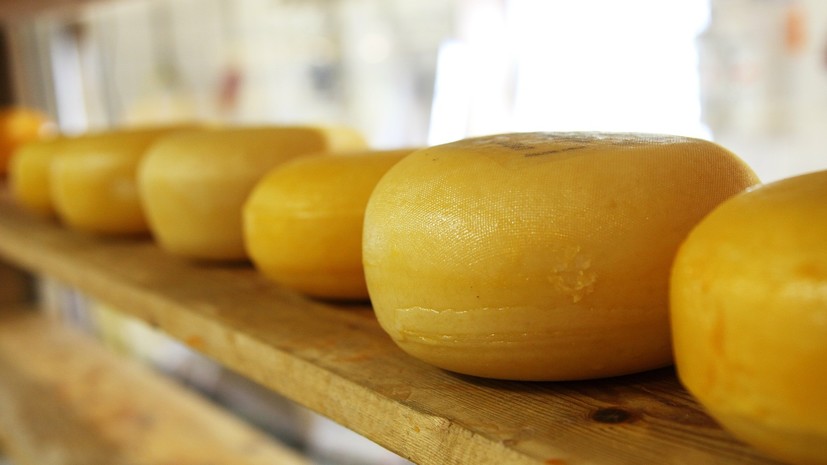 В Подмосковье начали приём заявок на получение грантов производителям сыра
