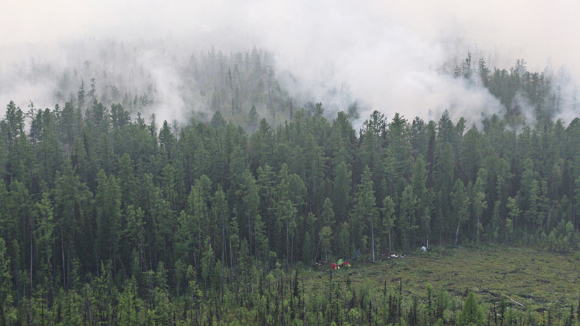 СК возбудил дело из-за лесных пожаров в Красноярском крае