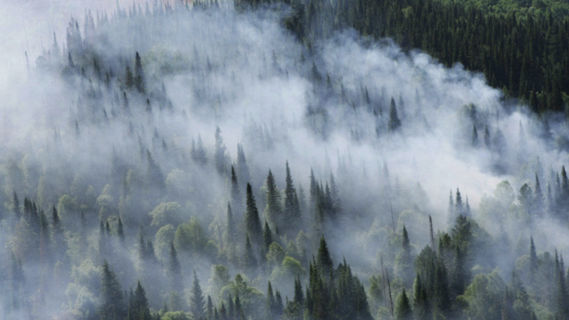 МЧС: площадь лесных пожаров в Якутии превышает 1,2 млн га
