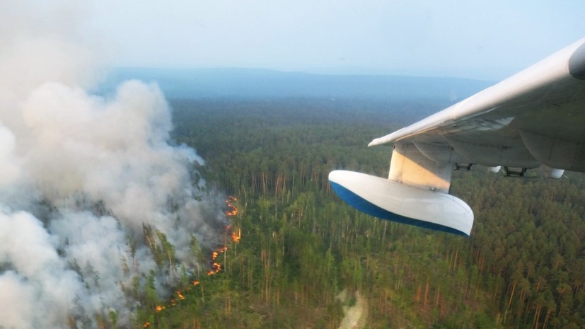 Сотни тонн воды с воздуха: как идёт борьба с пожарами в Сибири и Якутии