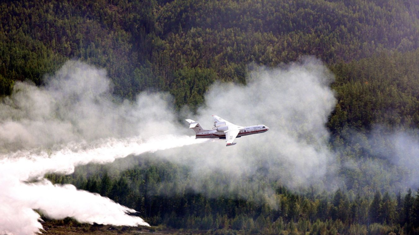 Авиалесоохрана дала прогноз по лесным пожарам в августе