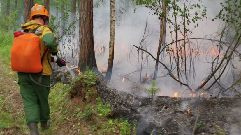 Минобороны сообщило о ситуации с лесными пожарами в Красноярском крае