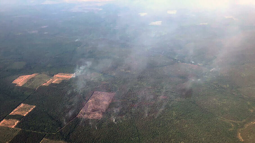 Авиация Минобороны за двое суток потушила пожары площадью 113 тысяч га