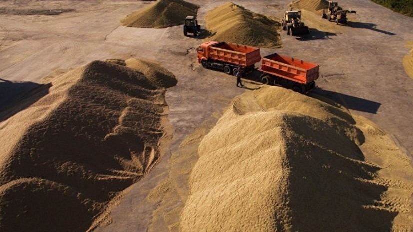 В Нижегородской области рассказали о росте экспорта сельхозпродукции