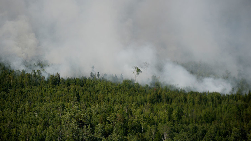 Человеческий фактор: МЧС рассказало об основной причине лесных пожаров в Сибири