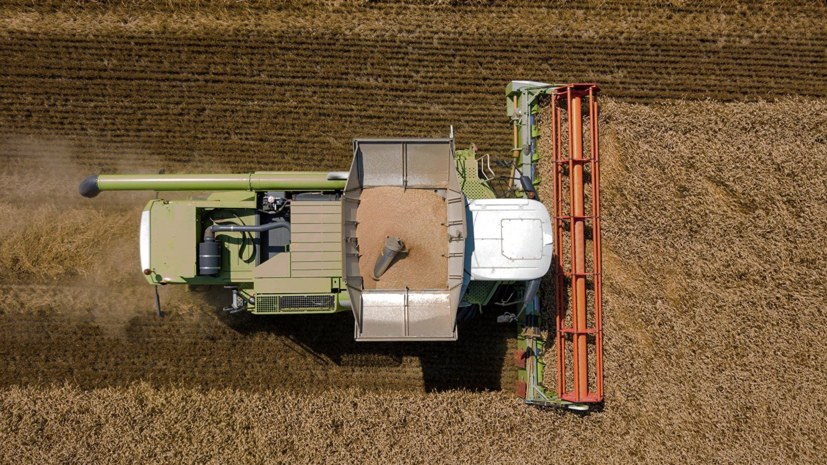 В Ростовской области рассказали об урожае ранних зерновых культур