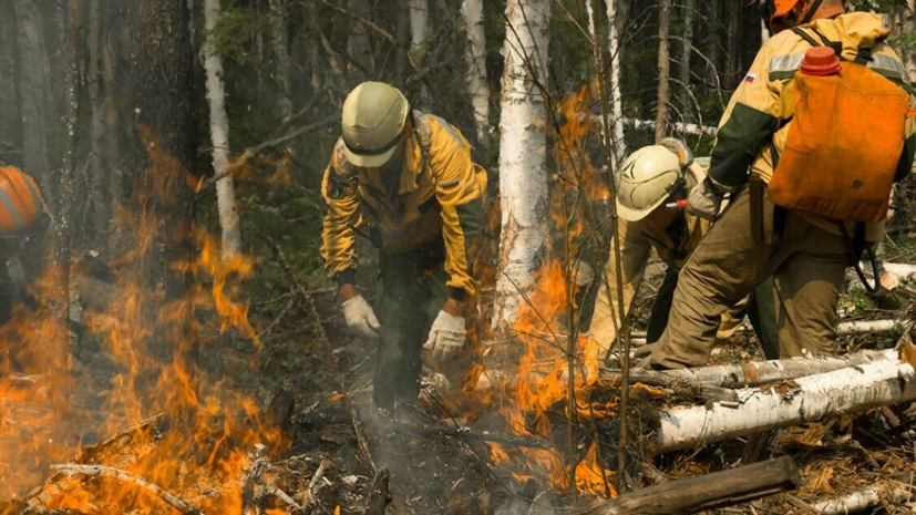В МЧС назвали площадь лесных пожаров в Сибири