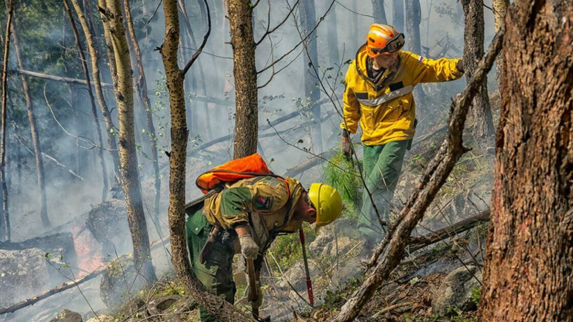 Кабмин направил на тушение пожаров в Иркутской области 700 млн рублей