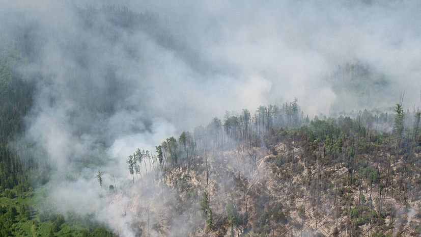 Более 1,5 млн гектаров леса горит в Сибири
