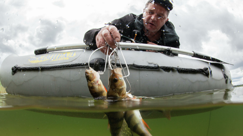 Эксперт прокомментировал новые правила любительской рыбалки