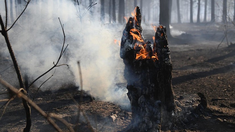 В СПЧ прокомментировали ситуацию с лесными пожарами в России