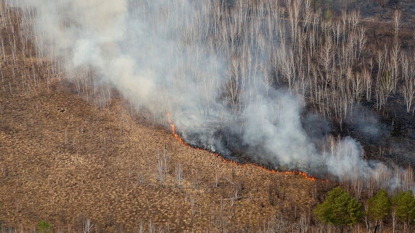 В Подмосковье закупили ещё семь беспилотников для борьбы с лесными пожарами