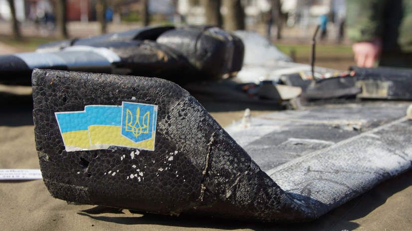 В ЛНР заявили о четырёх сбитых беспилотниках ВСУ за сутки