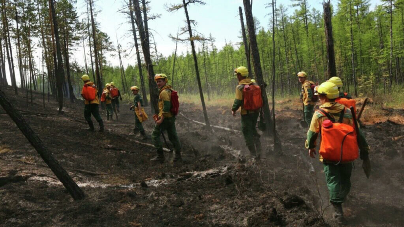 Рослесхоз заявил о стабилизации ситуации с лесными пожарами в Сибири