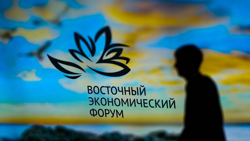 На ВЭФ-2019 планируют обсудить проекты развития острова Русский