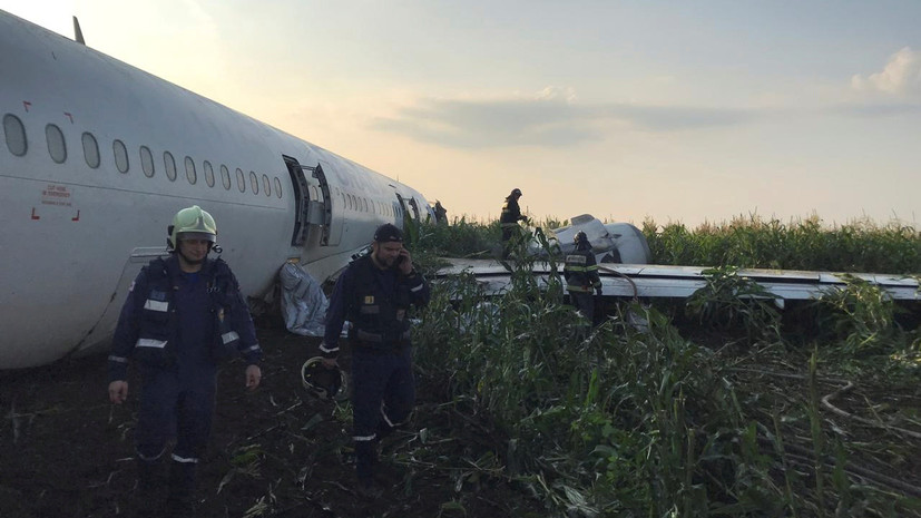 Власти Подмосковья заявили, что инцидент с А321 не связан со свалками