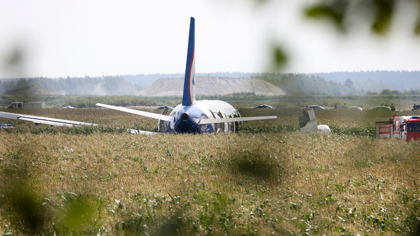 Авиаэксперт назвал безупречными действия экипажа аварийно севшего А321
