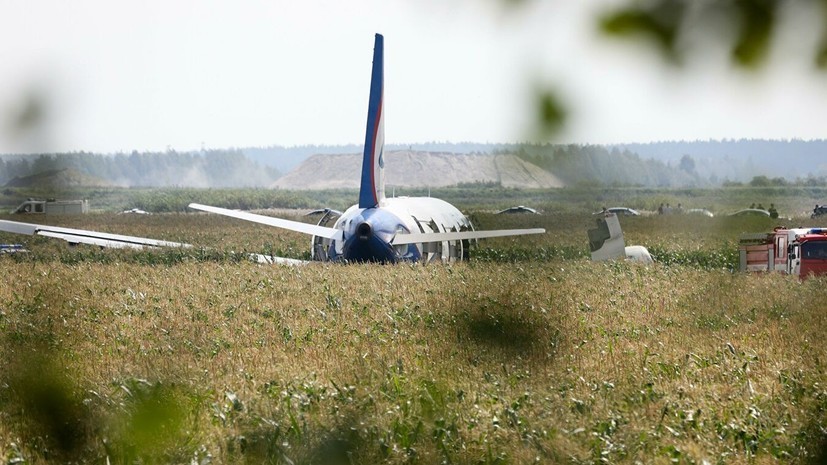 Госпитализирован второй пилот аварийно севшего в Подмосковье А321