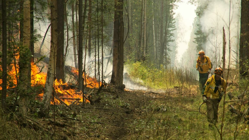 В Якутии потушили 217 лесных пожаров с начала пожароопасного сезона