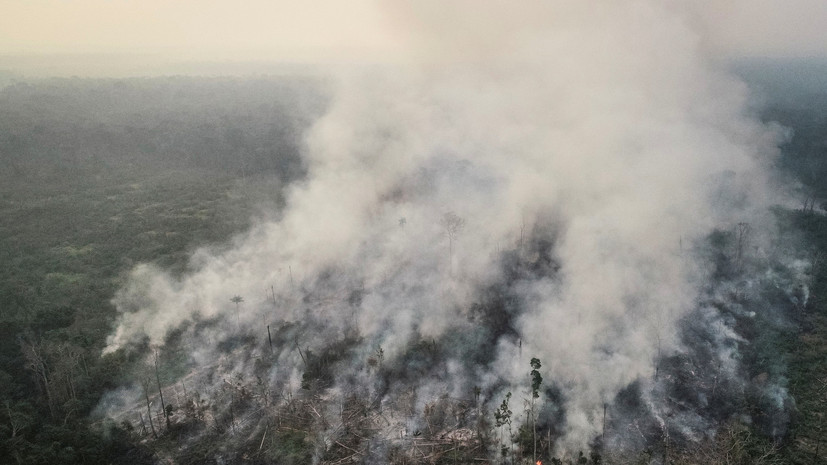Футбольный матч в Бразилии был прерван из-за дыма от горящей Амазонии