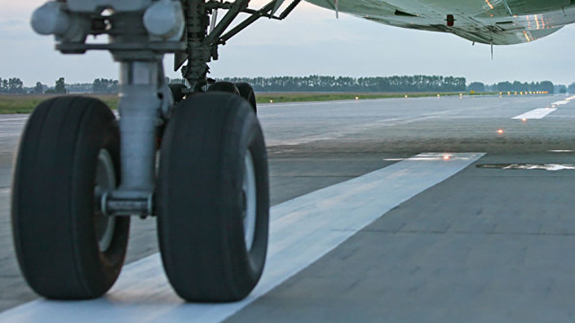 Эксперт оценил опасность птиц вблизи аэропортов