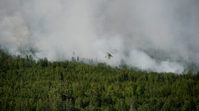 Лесные пожары в Богучанском районе Красноярского края