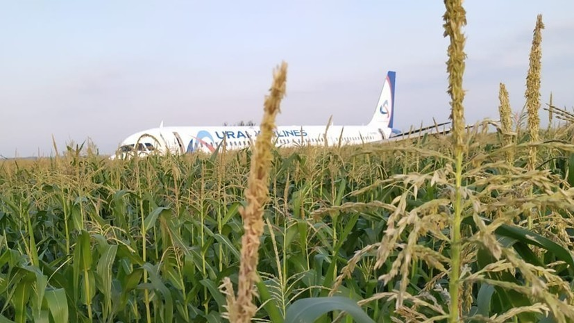 Cпасший пассажиров Airbus A321 пилот возвращается к полётам